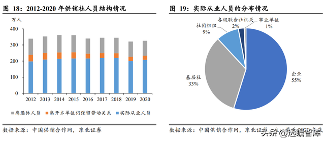 什么是供销社概念，读懂供销社的前世今生