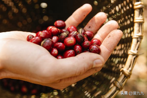 女生迷茫不知道做什么工作，女生不知道找什么工作怎么办（2个颠覆认知的新思路）