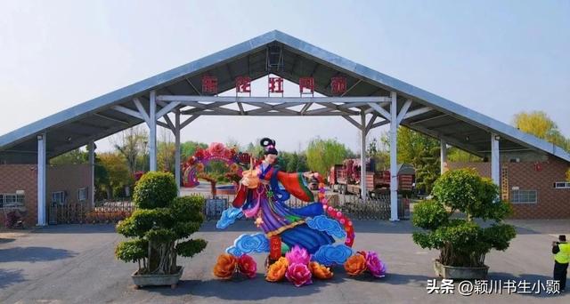 洛阳最值得一看的牡丹园，史上最全的洛阳牡丹观赏园