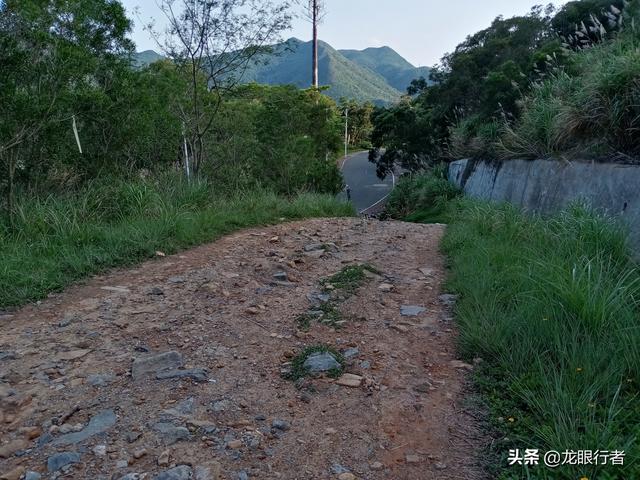 周日打卡鹏城第一峰，从蝴蝶谷-好汉坡步道登顶