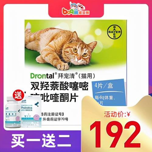 拜宠清，让你比宠物医生更专业（拜宠清和福来恩哪个好）