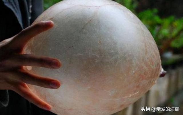 儿时的简易自制玩具，7080年代农村孩子自制49个纯天然玩具