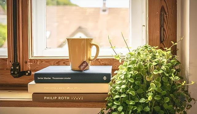 关于读书读多了有什么好处的语句，读书多了有什么用（这6句话，就是最好的回答）