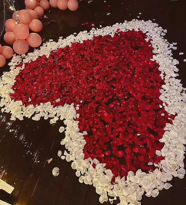 花朵系列背景图，花朵背景图片大全高清唯美（温馨又治愈的花朵背景图）