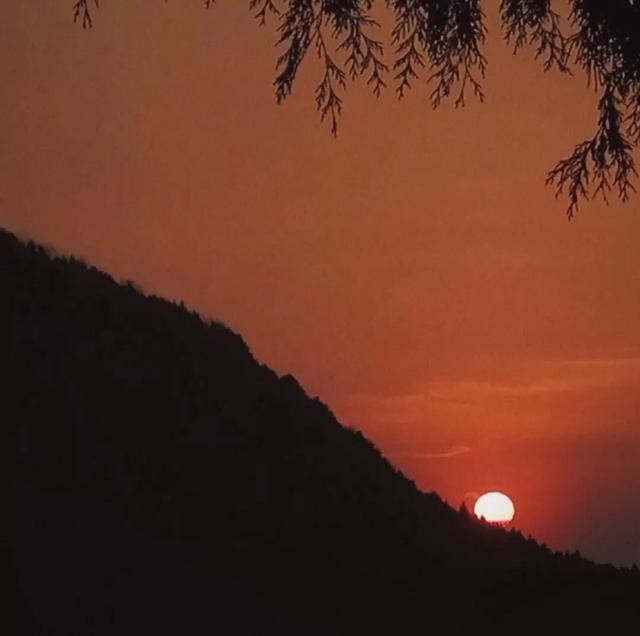 感情是指爱情还是友情，友情与爱情之间的区别是什么（什么是感情）