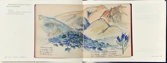 中国畅销书排行榜前十名，好书排行榜（全国6月上半月畅销书排行榜发布）