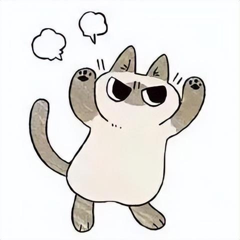 好看的表情包(10000种表情包图片大全)