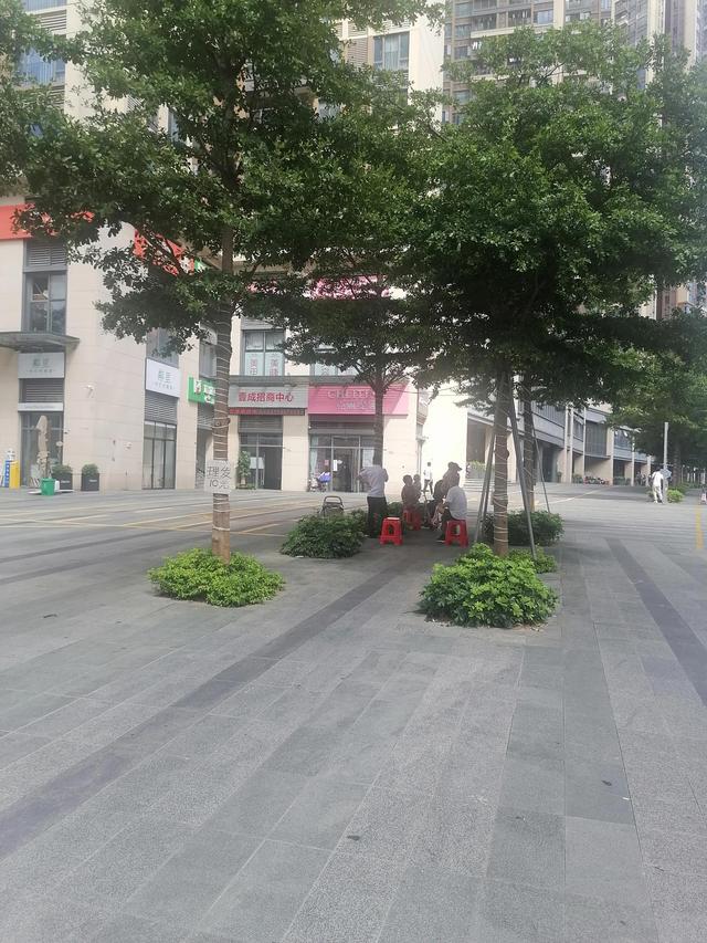 今天天气好晴朗，今天天气好晴朗的句子（今天天气好晴朗的句子怎么写）