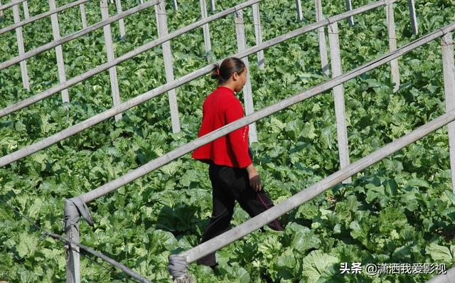 叶三天是哪部电视剧，叶三天是哪部电视剧里面的（不要挡别人的财路）