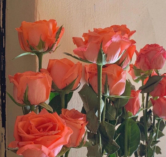 有魅力的女人特征，有魅力的女人几大特点（让男人深爱不渝的女人）