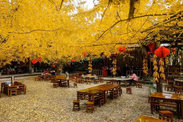 10种代表秋天的景物，秋天的景色有哪些（这10个小众绝美的秋景地）