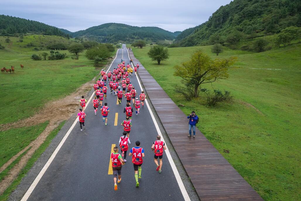 仙女山骑马多少钱(开启旅游国际化) - 价格百科