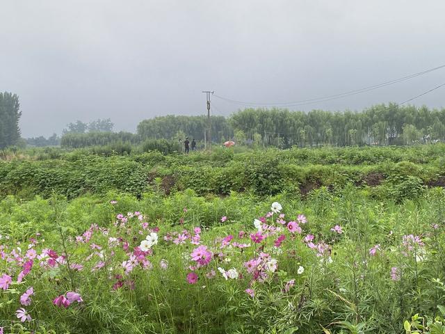 雨点儿教学设计，雨点儿教学设计第二课时及课堂实录（语文老师上课教案和笔记分享）