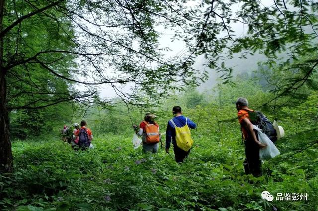 附近景区哪里好玩，宁波附近哪里好玩（大都1天打来回）