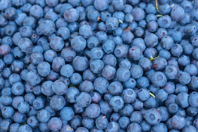 蓝莓怎么吃好，蓝莓怎么吃比较好（蓝莓的神仙吃法）