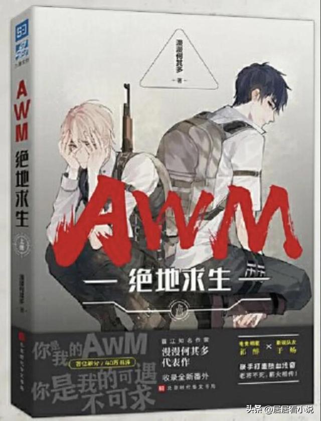 好看的小说推荐女生，女生必看言情小说推荐（北大教授力推的十本女频小说）