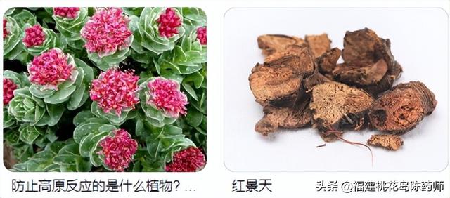 雪蛤的功效，雪蛤的功效与做法大全（20味补阴中药的药性及功效）