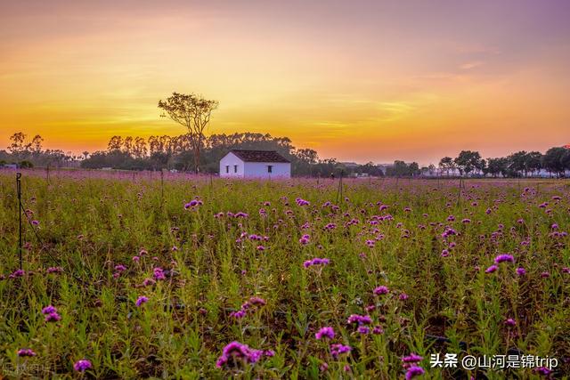 亲子游去哪里玩比较好，暑期亲子游（国内最具特色的十大亲子农场推荐）