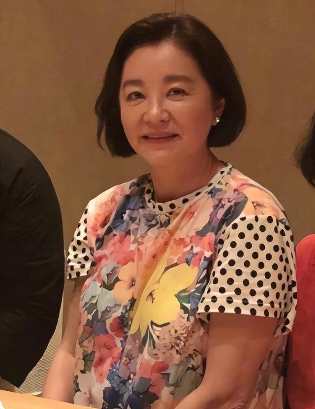 找一部关于寻找女儿的大陆电视剧，找一部关于寻找女儿的大陆电视剧有哪些（1990年林青霞与姐姐在河南相认）