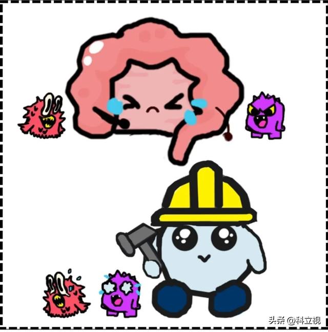 乳酸菌的作用与功效，益生菌和乳酸菌的作用与功效（乳酸菌的好处居然那么多）