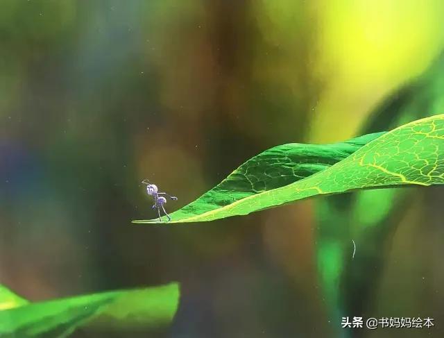 虫虫危机国语，虫虫危机原版国语版（Bug's）