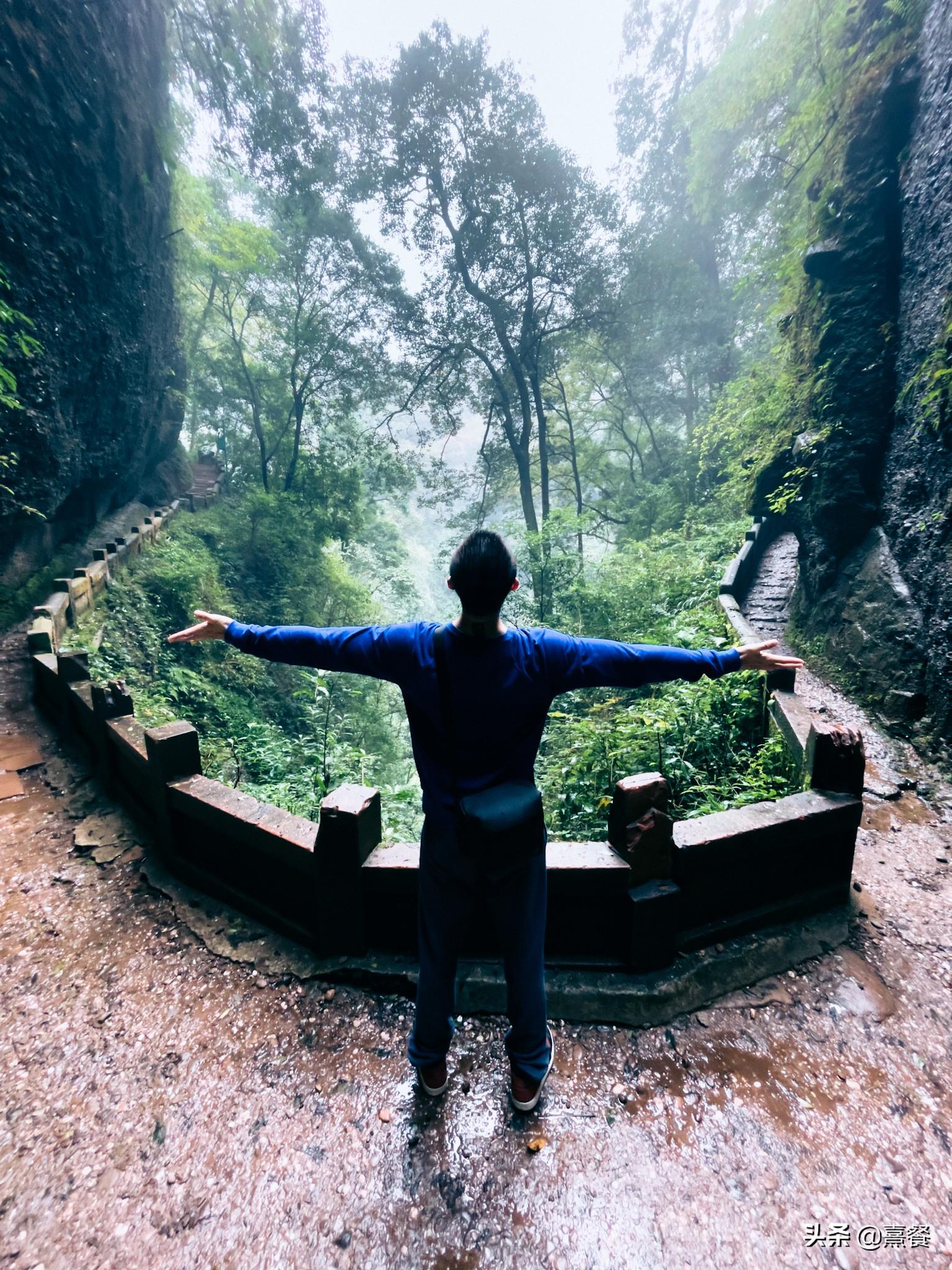 青城山后山门票(青城山后山景区门票)