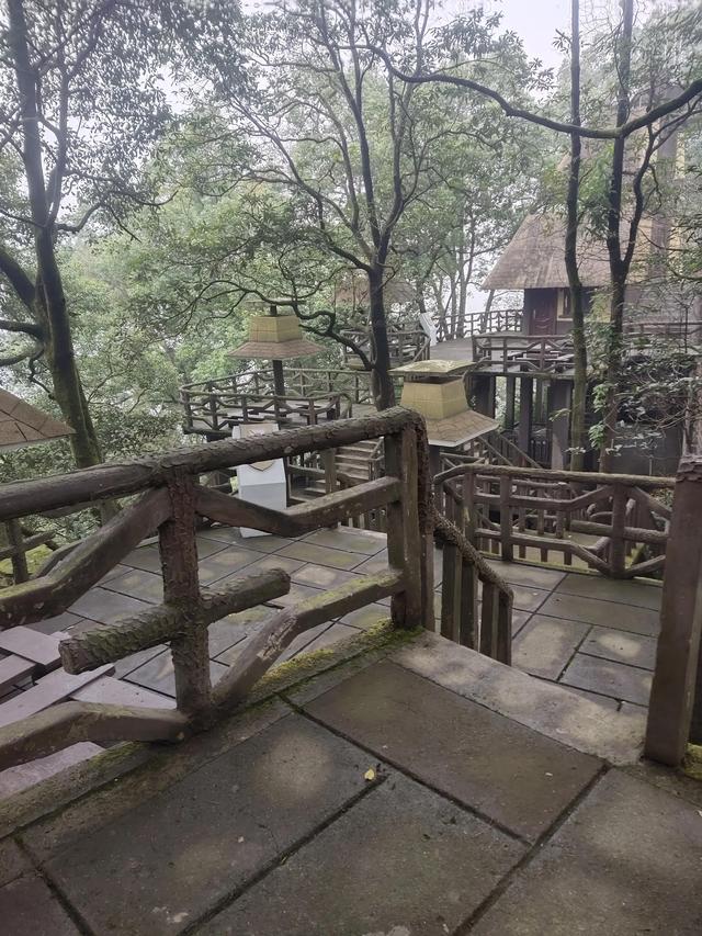 歌乐山森林公园，重庆旅游必去景点（歌乐山国家森林公园）