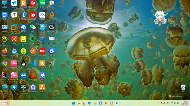 如何使用dir命令显示所有文件，dir命令格式（Windows11的基本使用）