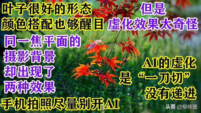 怎么拍照片好看，手机怎么拍照片好看（照片不能“瞎拍”）