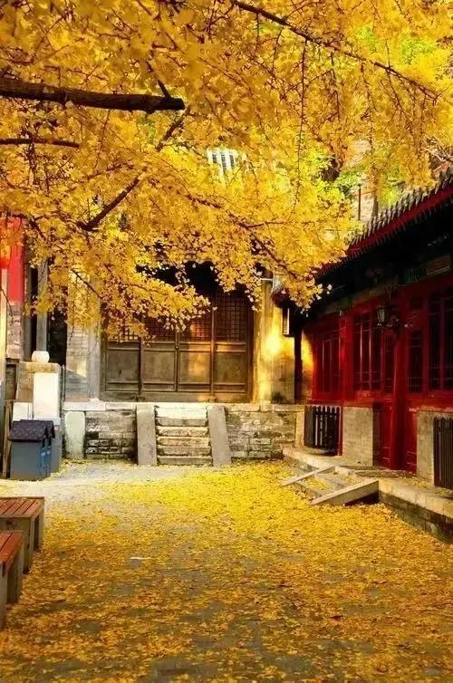 管理的职能主要包括哪些内容，管理的职能主要包括哪些内容和职能（德鲁克《管理的实践》介绍）