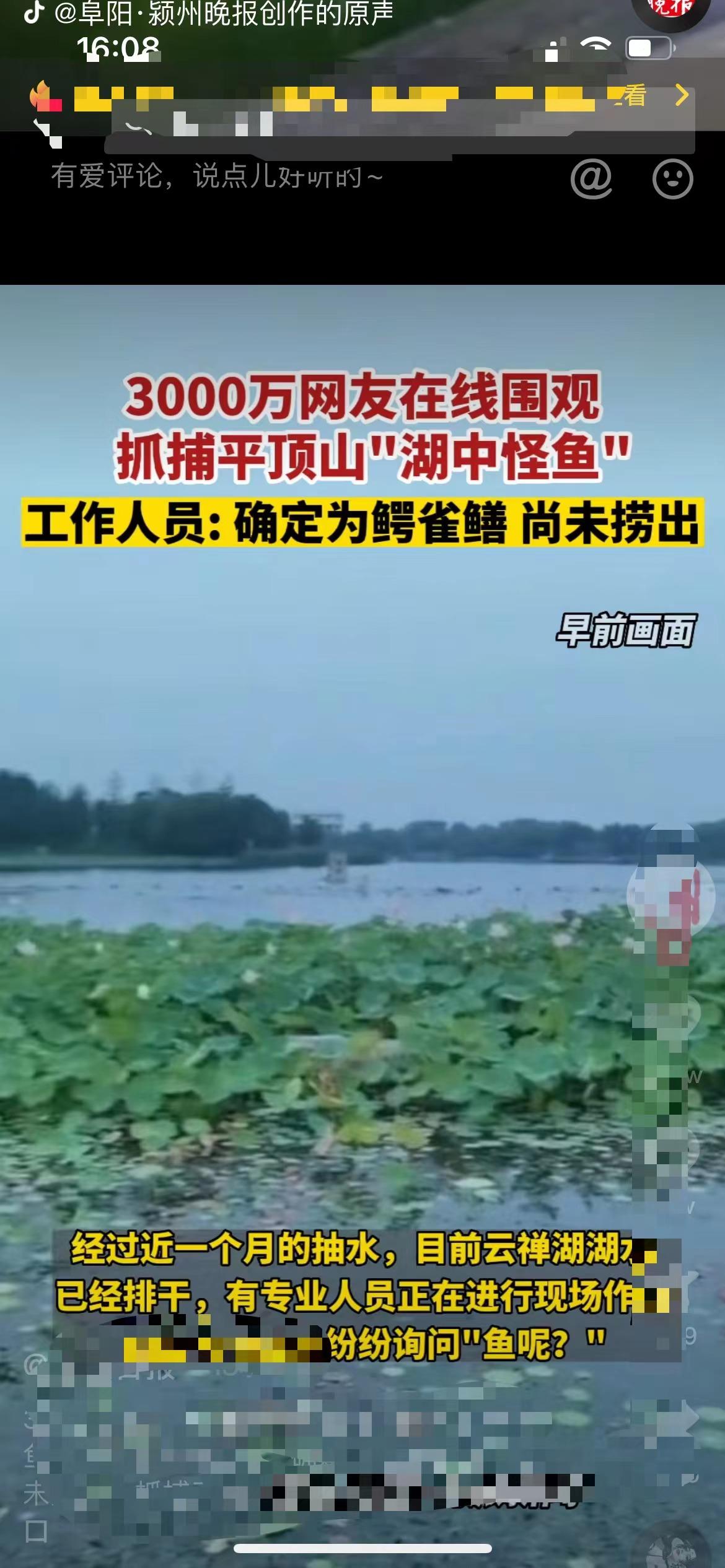 长江里鳄雀鳝有多可怕，一条鱼端了整个湖