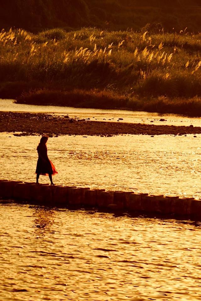 泰顺旅游必去景点介绍，泰顺游玩景点（盛夏到温州泰顺来避暑）