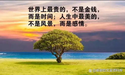 一个平淡而又简单的生活句子，生活简单平淡的句子（生活平淡但很享受的句子）