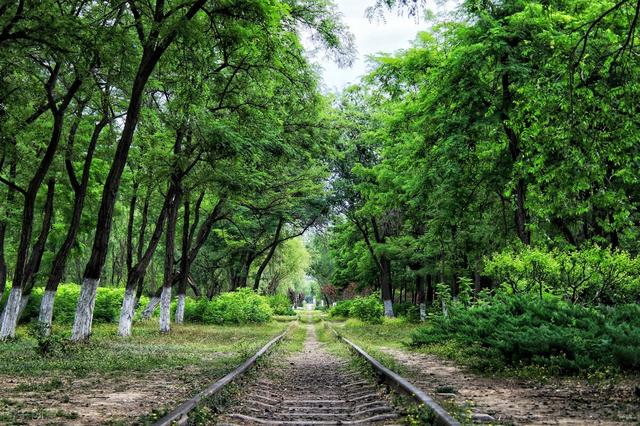 北京湿地公园有哪些景点好玩，北京公园推荐︱10个值得一去的免费公园