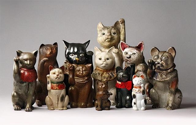 招财猫的饲养教程，招财猫养殖方法和注意事项（“招财猫”你用对了吗）