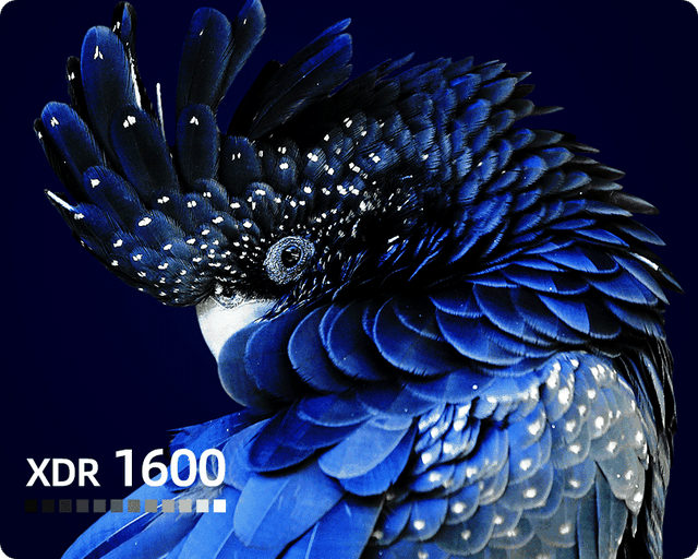 海尔冰箱怎么样，海尔冰箱怎么样调温度（家里3个“刚需”家电）