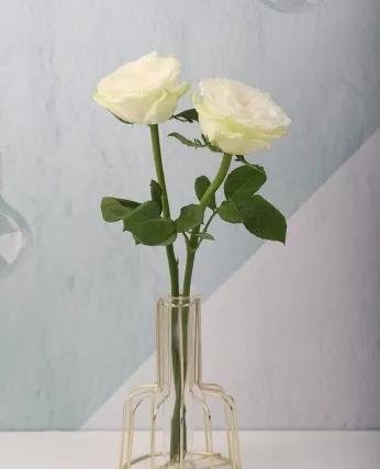 食盐的九大妙用你平时注意过吗，食盐的功效与作用、禁忌和食用方法（食盐的十种奇妙用途你知道吗）