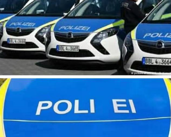 新罗马字体是哪个，新罗马字体是哪个国家的（欧美禁止俄罗斯使用著名字体）