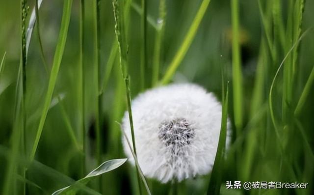 处事圆滑的技巧，教你处事圆滑的四大技巧