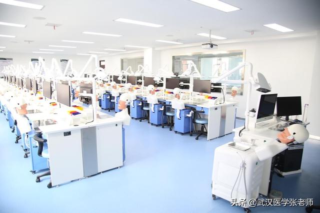 三峡大学职业技术学院，湖北三峡职业技术学院怎么样_师资评价好不好（预科班录取口腔医学院校-湖北三峡职业技术学院）