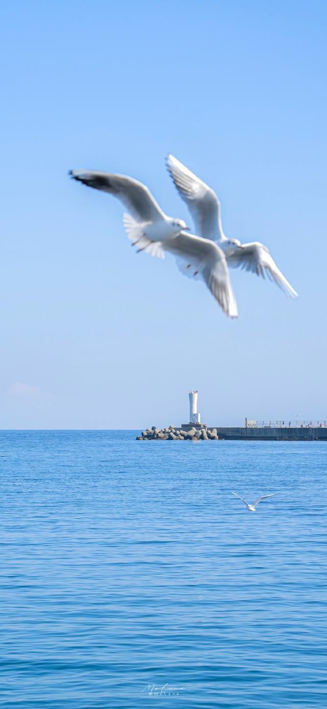 海边玩的心情发朋友圈，适合去海边玩发朋友圈的句子（适合去海边发的文艺朋友圈文案）