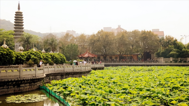 华东五市是哪五市，华东五市是哪五市地图（浅谈全国34个省级区域之华东篇）