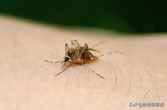 男生为啥不先表白就吻你，男生抱你亲你但没跟你表白过（看见就会发疯似地用嘴亲上你）