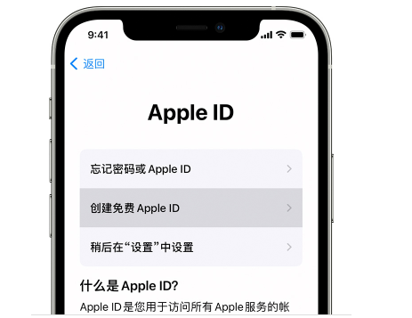 appleid密码要求格式（apple id 密码设置方法）