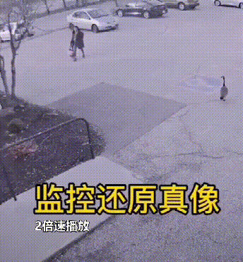 史上最牛的名字，中国古代最厉害的名字（这样的名字好难写啊）