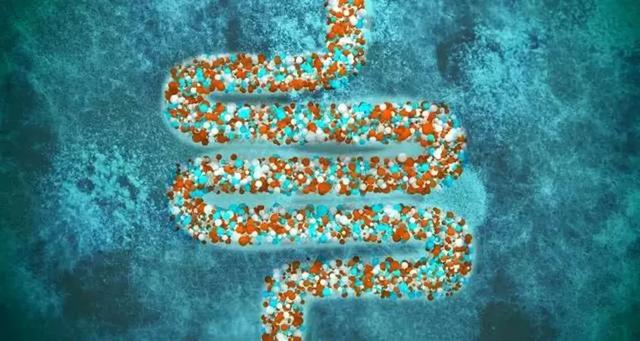 dys是什么意思，dys是什么意思医学（肠道不好为什么容易引发一身病）