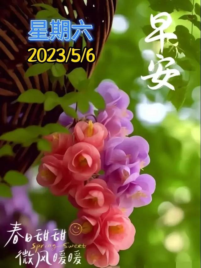 早安问候语每日更新，早上好短句早安问候语每日更新（亲切的暖心问候语）