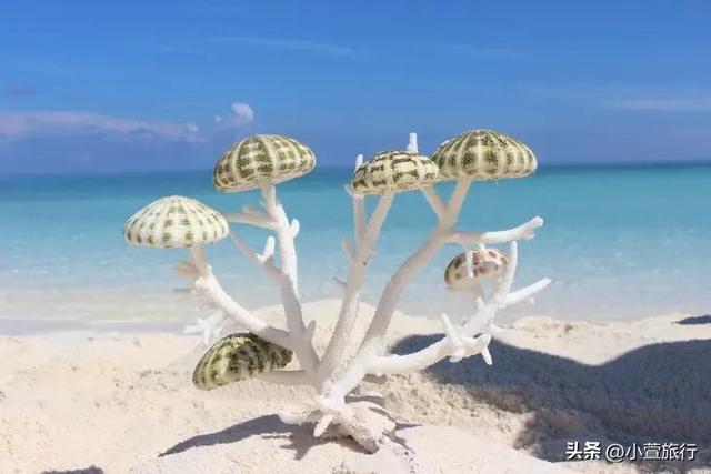 西沙群岛旅游行程，三亚到西沙群岛4日游行程分享