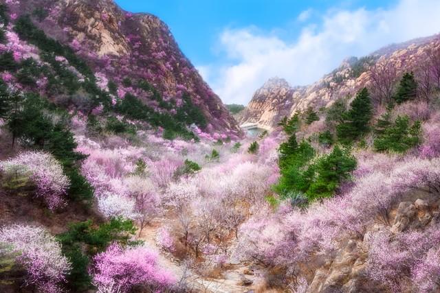 春天去哪里旅游，春天到什么地方旅游最好（推荐世界上最适合春季旅行的十个地方）