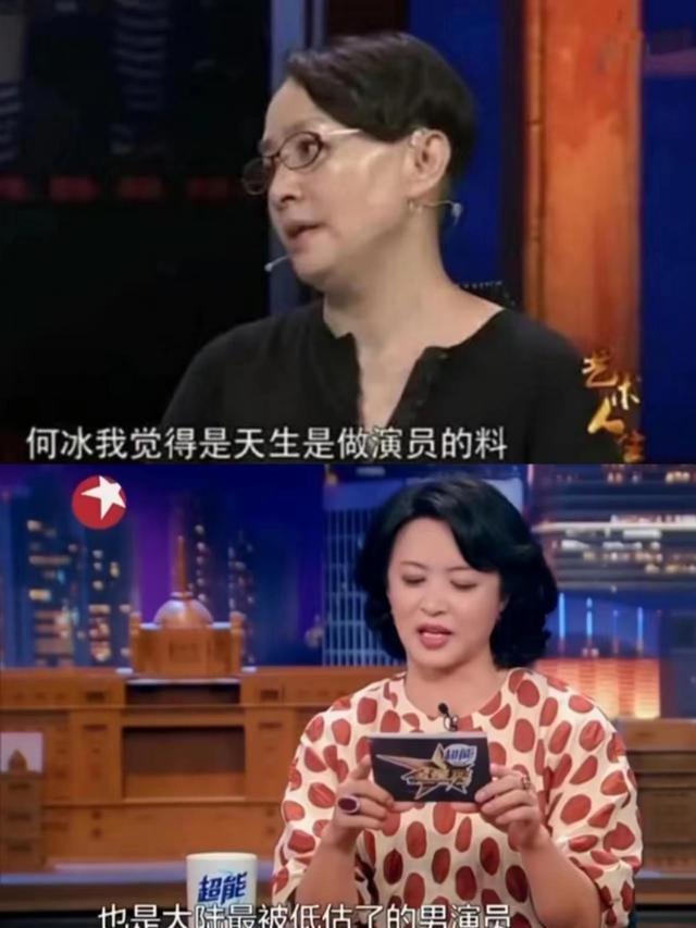 何冰主演的电视剧大全，何冰所有的电视剧（从双料视帝到无戏可拍）